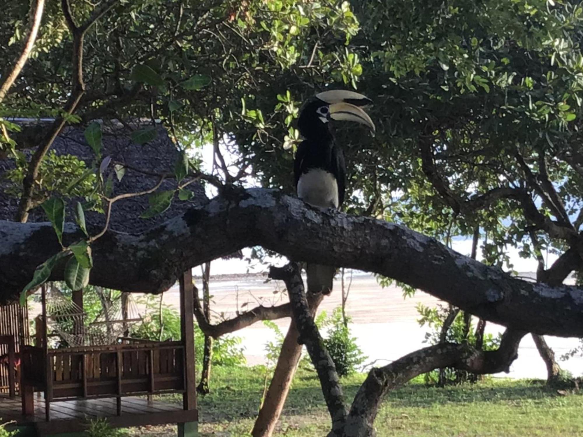 Pp Land Beach Eco Resort Đảo Ko Phayam Ngoại thất bức ảnh